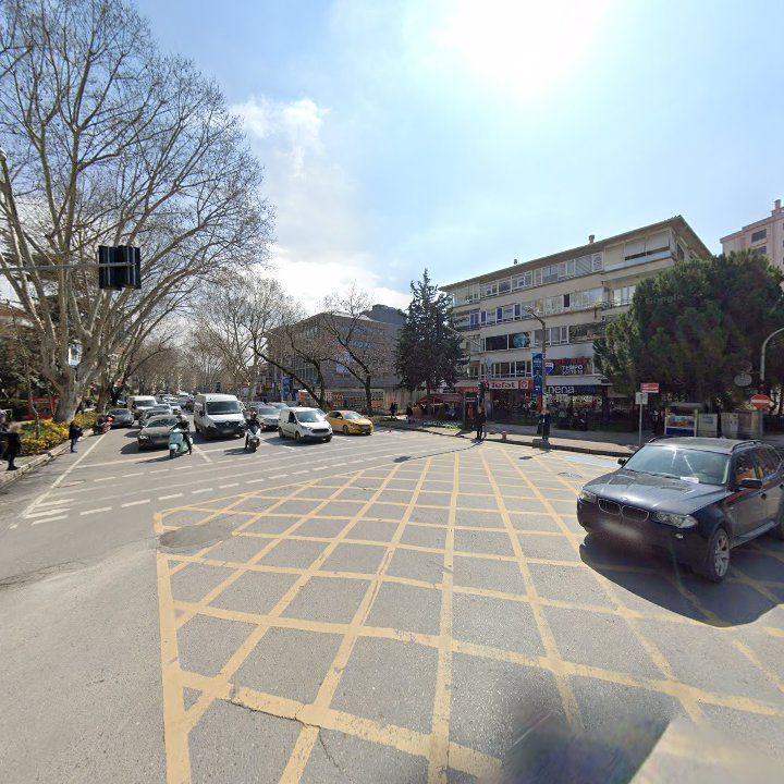 Fotoğraf 11