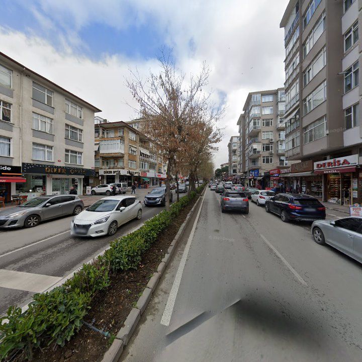 Fotoğraf 10