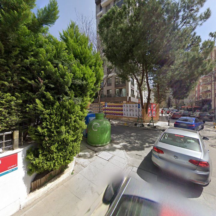 Fotoğraf 17