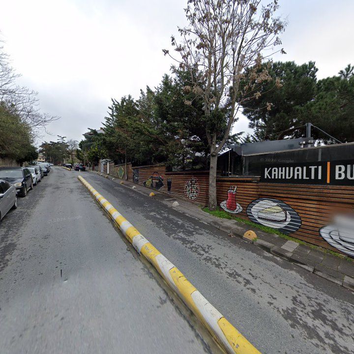 Fotoğraf 12