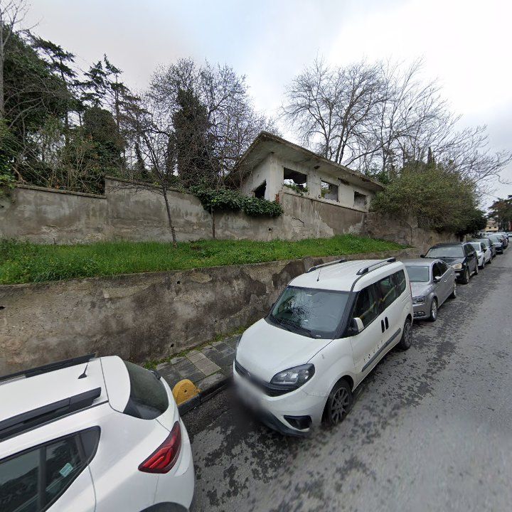 Fotoğraf 11