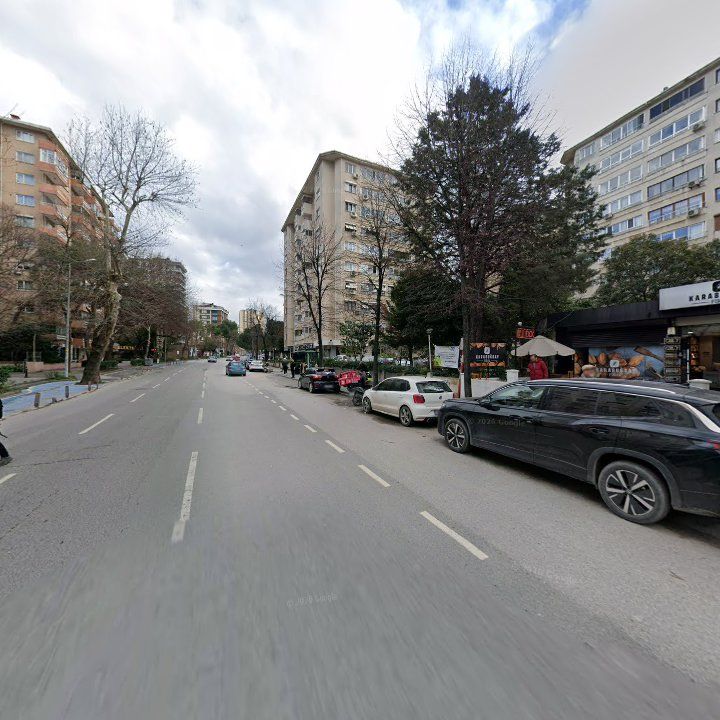 Fotoğraf 12