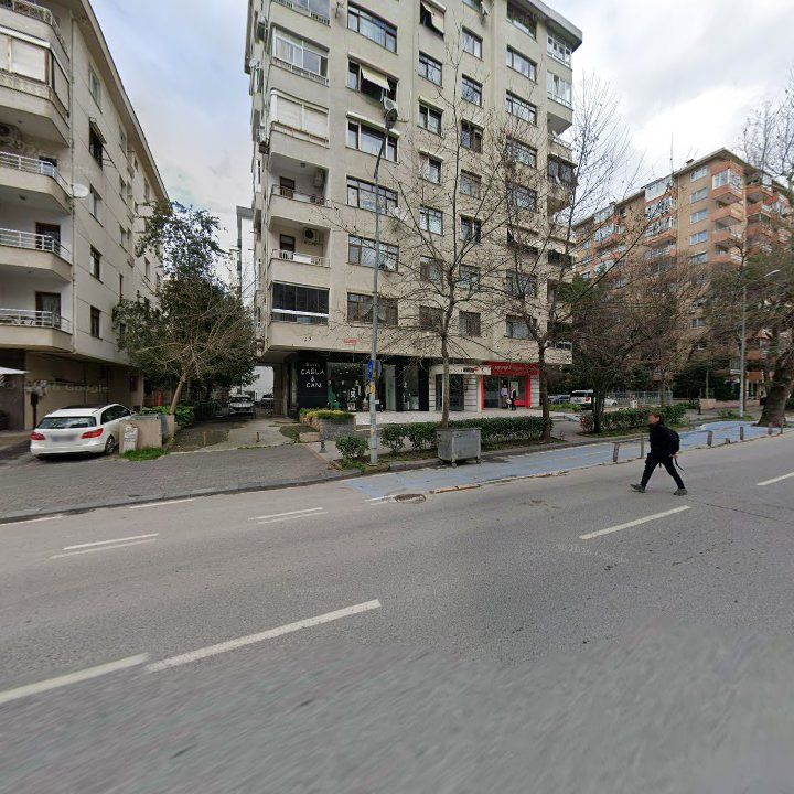 Fotoğraf 11