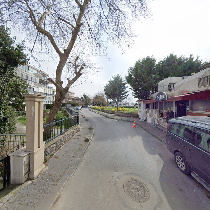 Fotoğraf 12