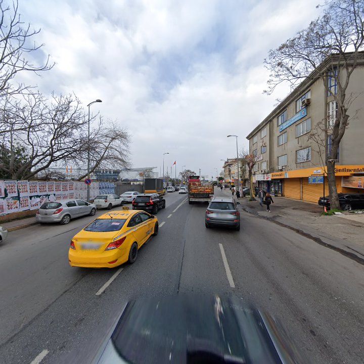 Fotoğraf 11