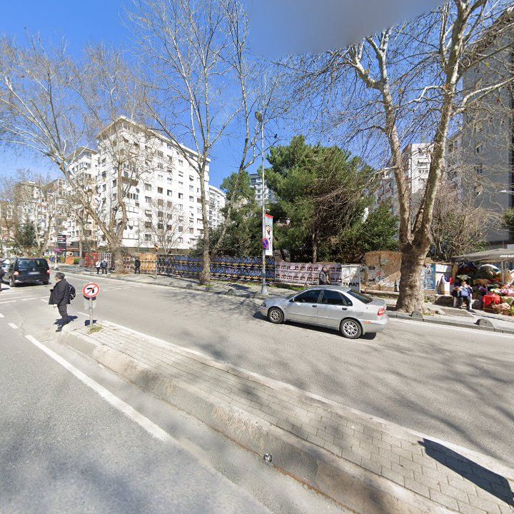 Fotoğraf 11