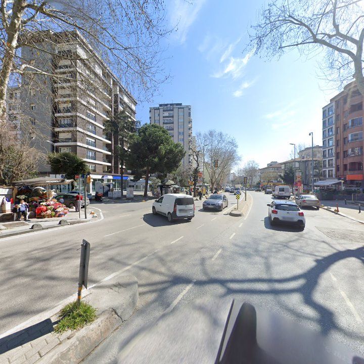 Fotoğraf 12