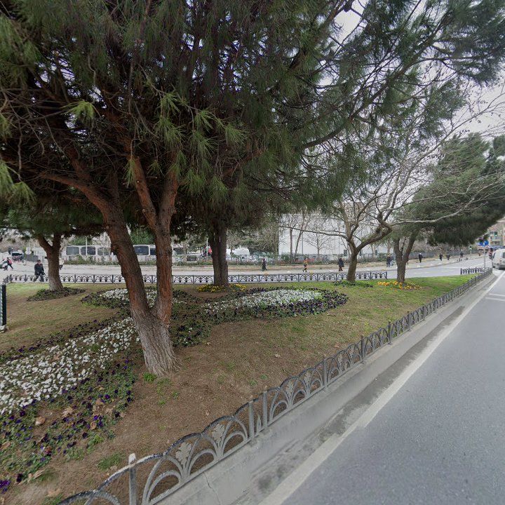Fotoğraf 8