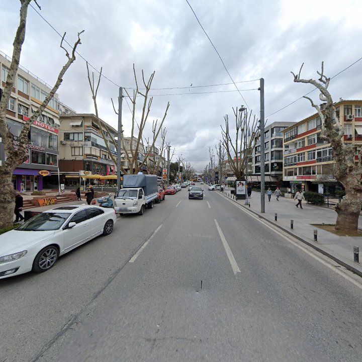 Fotoğraf 12