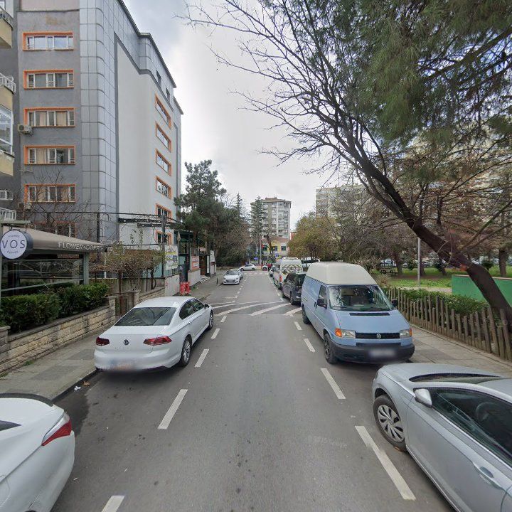 Fotoğraf 11