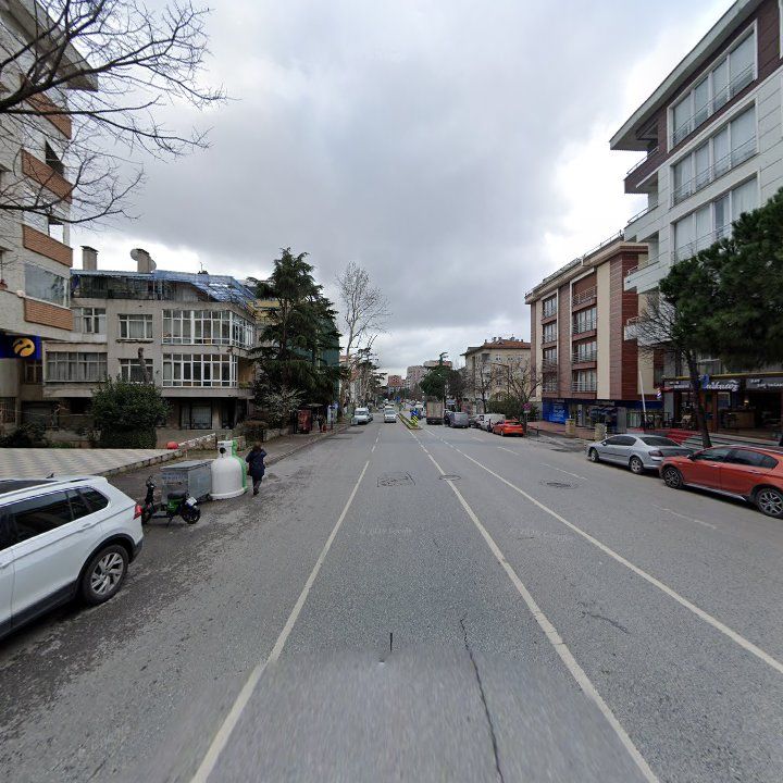Fotoğraf 17