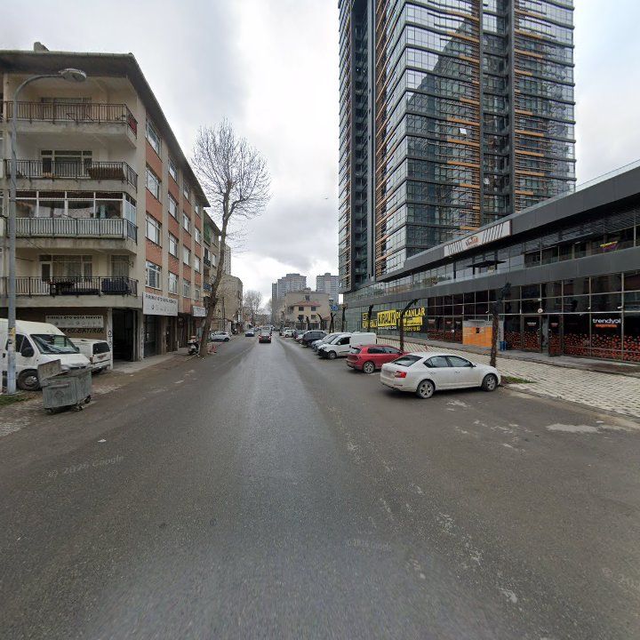 Fotoğraf 11
