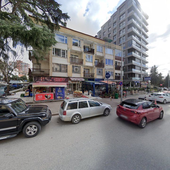 Fotoğraf 13
