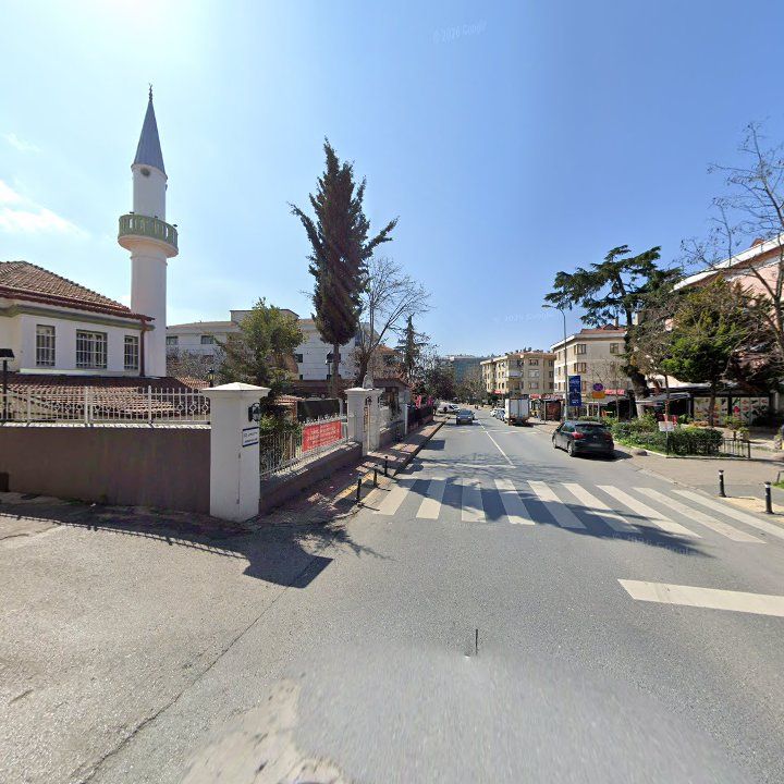 Fotoğraf 8