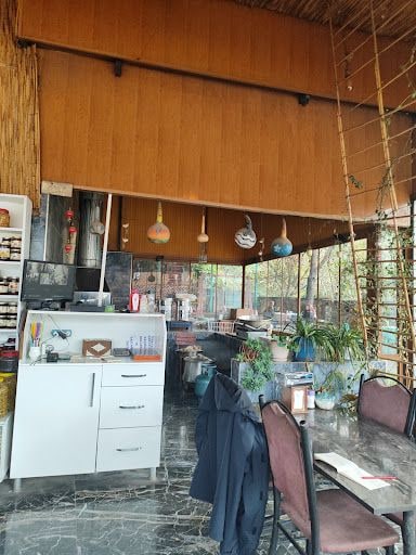 Fotoğraf 17