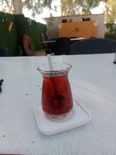 Fotoğraf 24