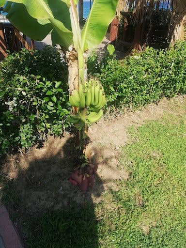 Yorum fotoğrafı 8