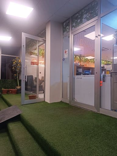 Fotoğraf 12