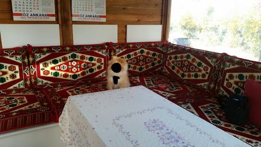 Yorum fotoğrafı 3