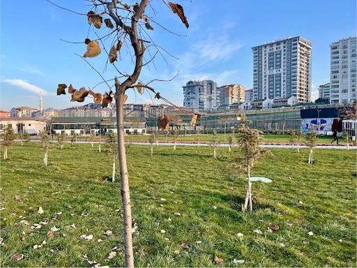 Yorum fotoğrafı 5