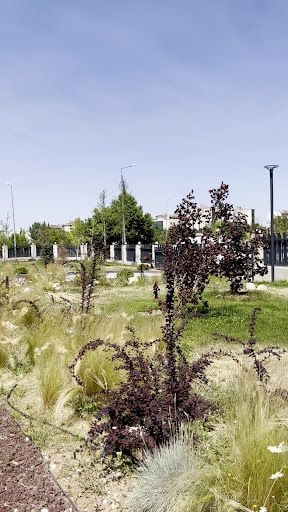 Yorum fotoğrafı 8