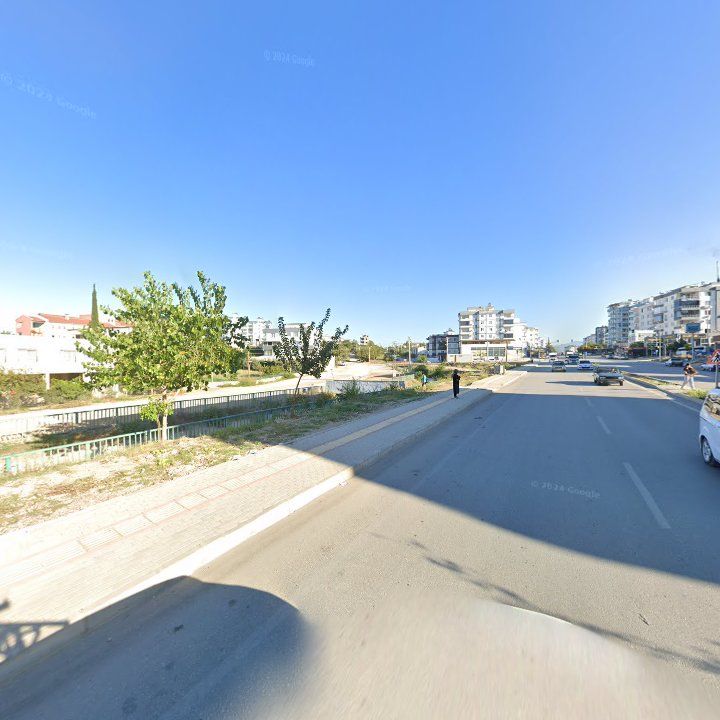 Fotoğraf 11