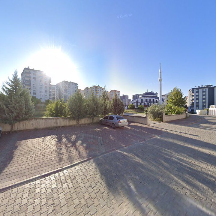 Fotoğraf 8