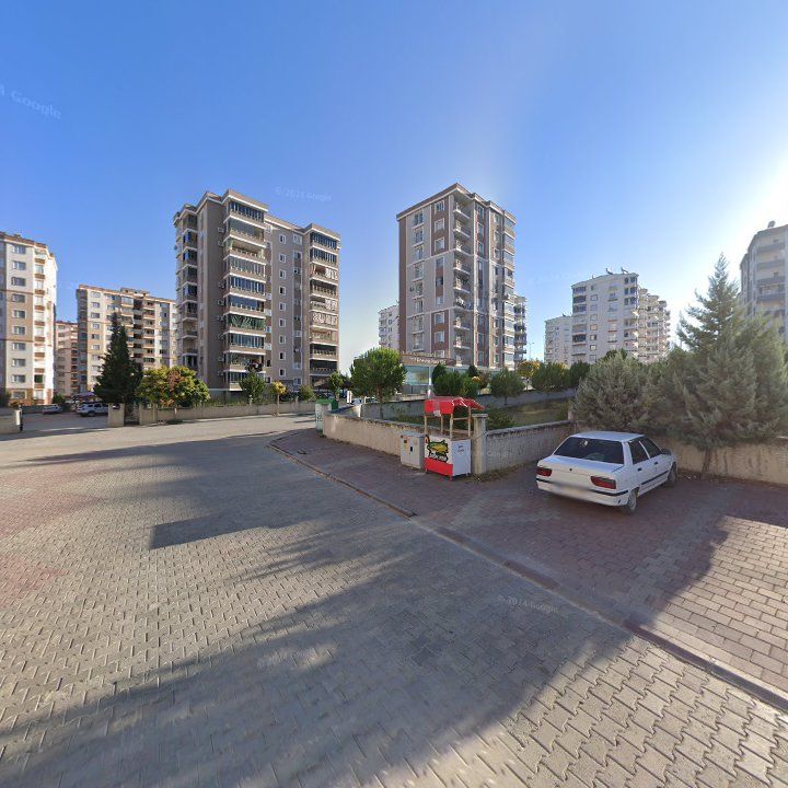 Fotoğraf 7