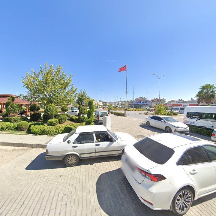 Fotoğraf 7