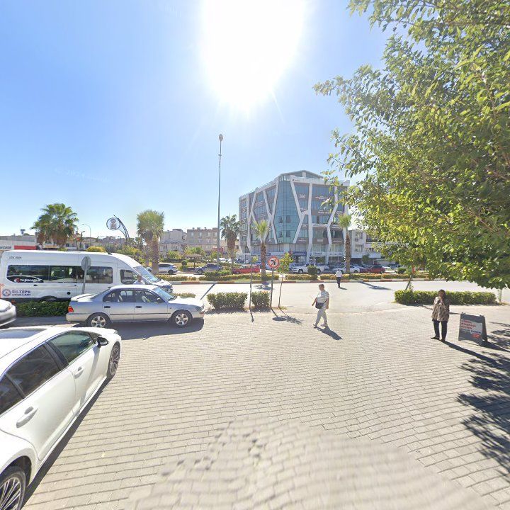 Fotoğraf 8