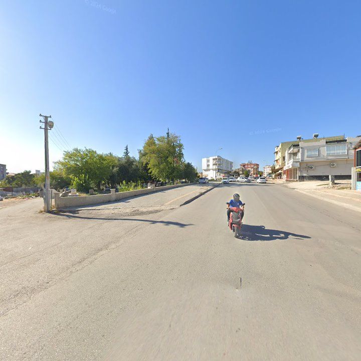 Fotoğraf 5