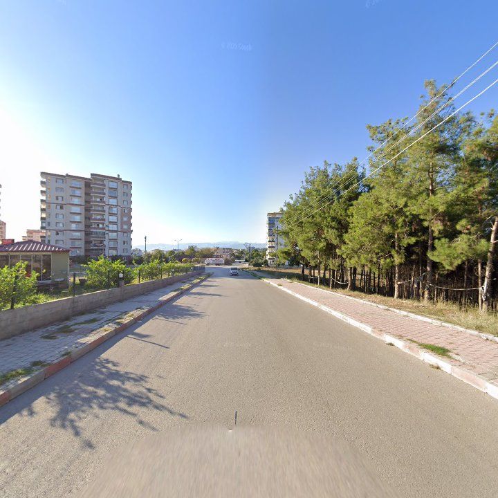 Fotoğraf 7
