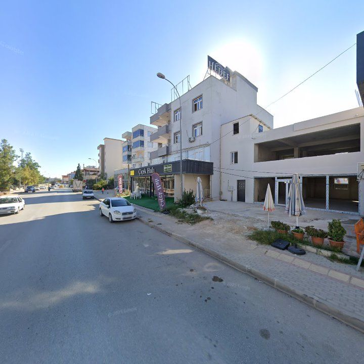 Fotoğraf 7