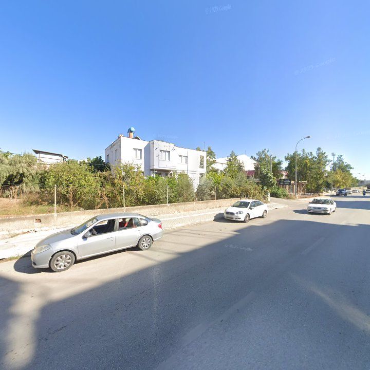 Fotoğraf 10