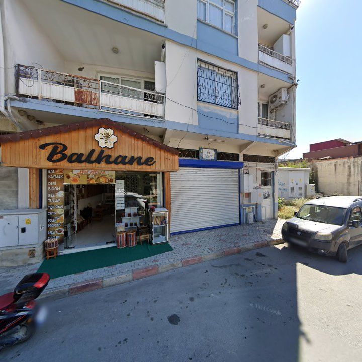 Fotoğraf 3