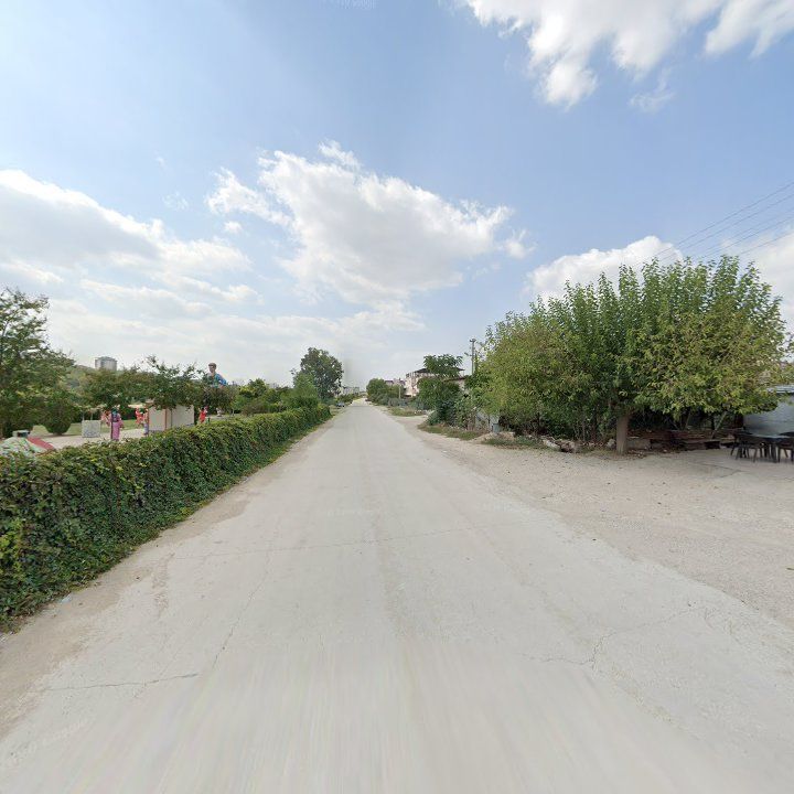 Fotoğraf 10