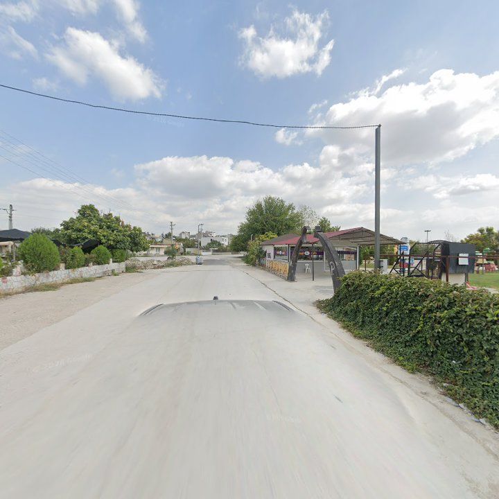 Fotoğraf 8