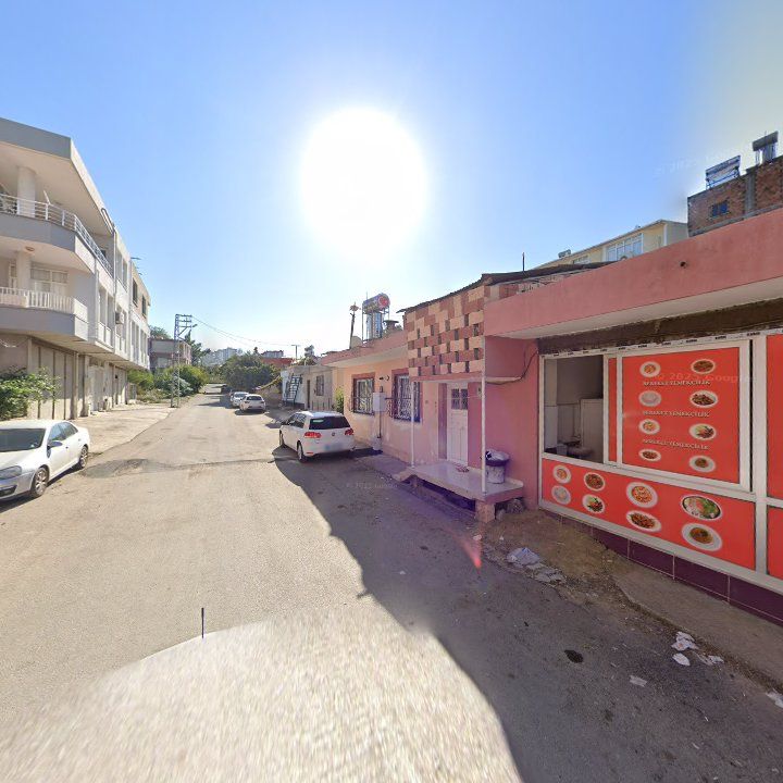 Fotoğraf 7