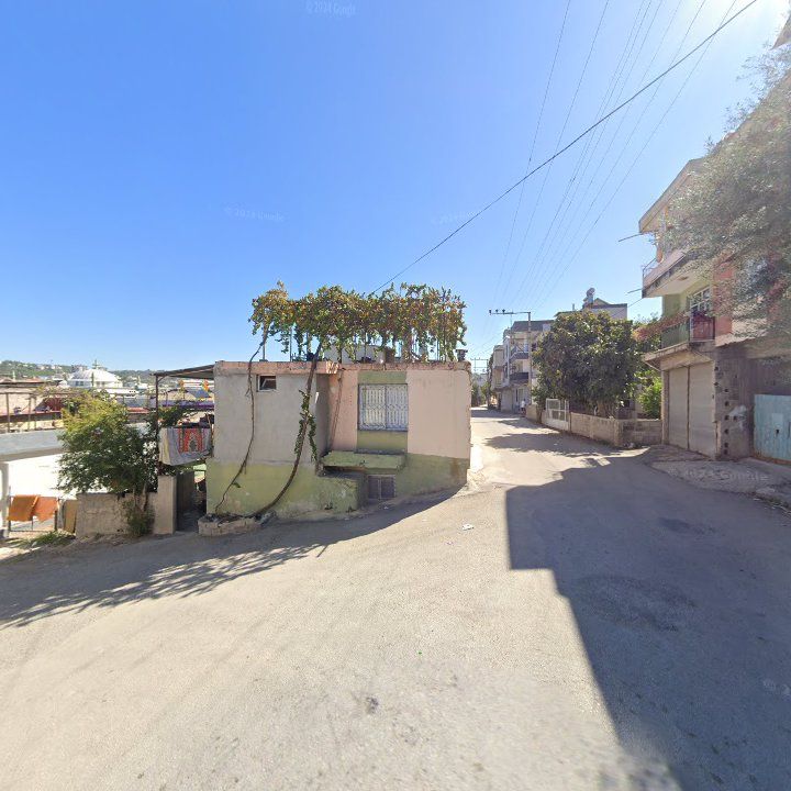 Fotoğraf 4
