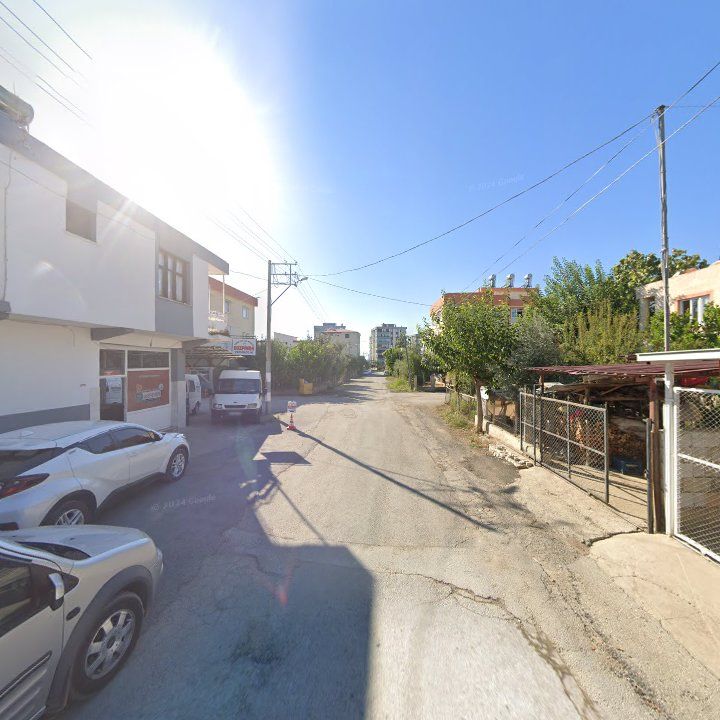 Fotoğraf 4