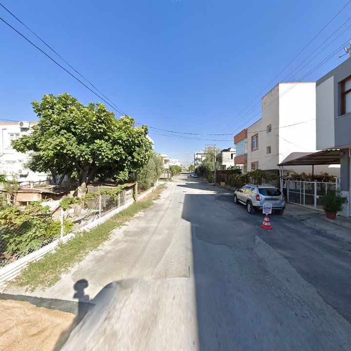 Fotoğraf 6