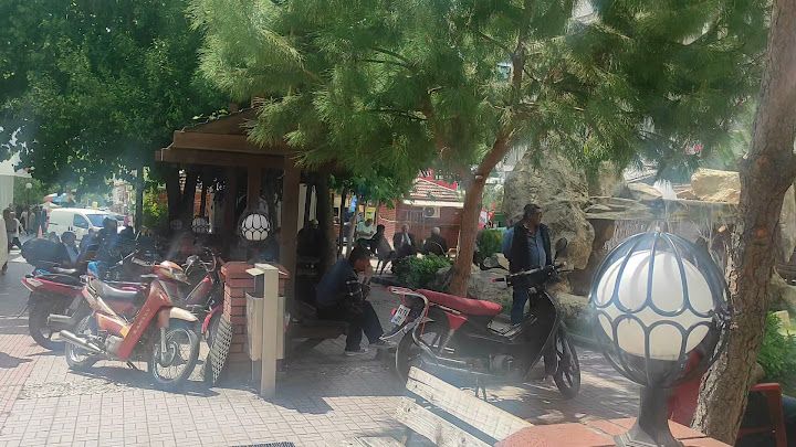 Fotoğraf 3