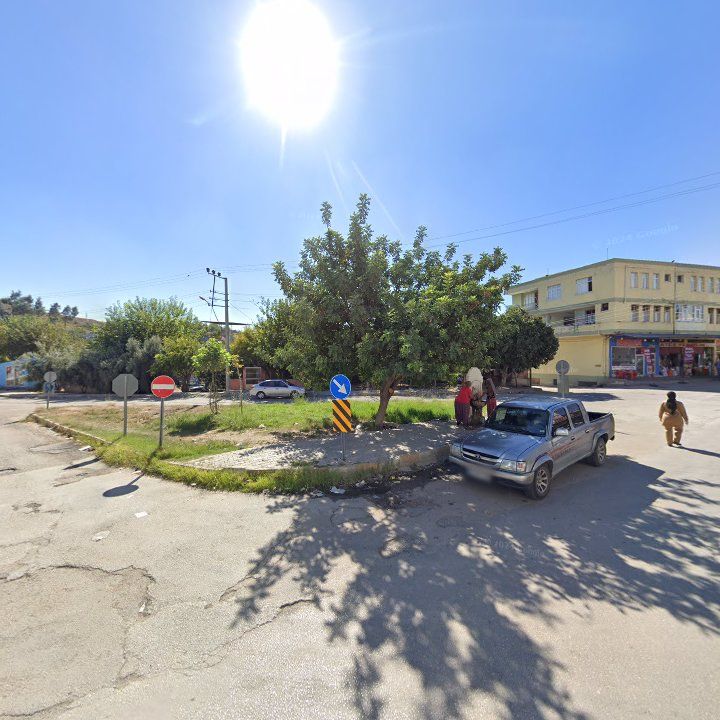 Fotoğraf 3