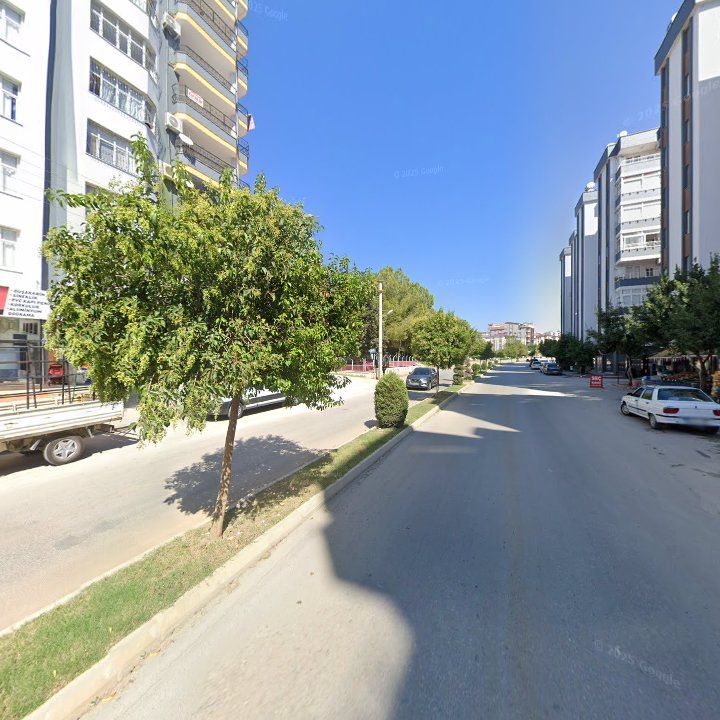Fotoğraf 9