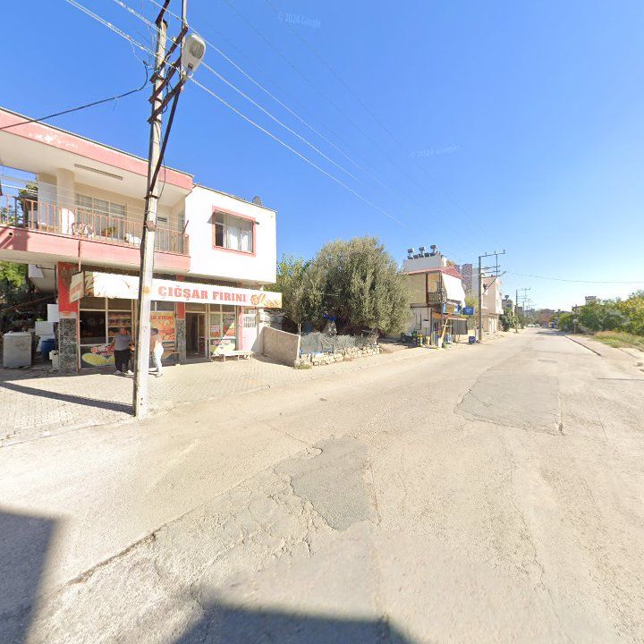 Fotoğraf 2