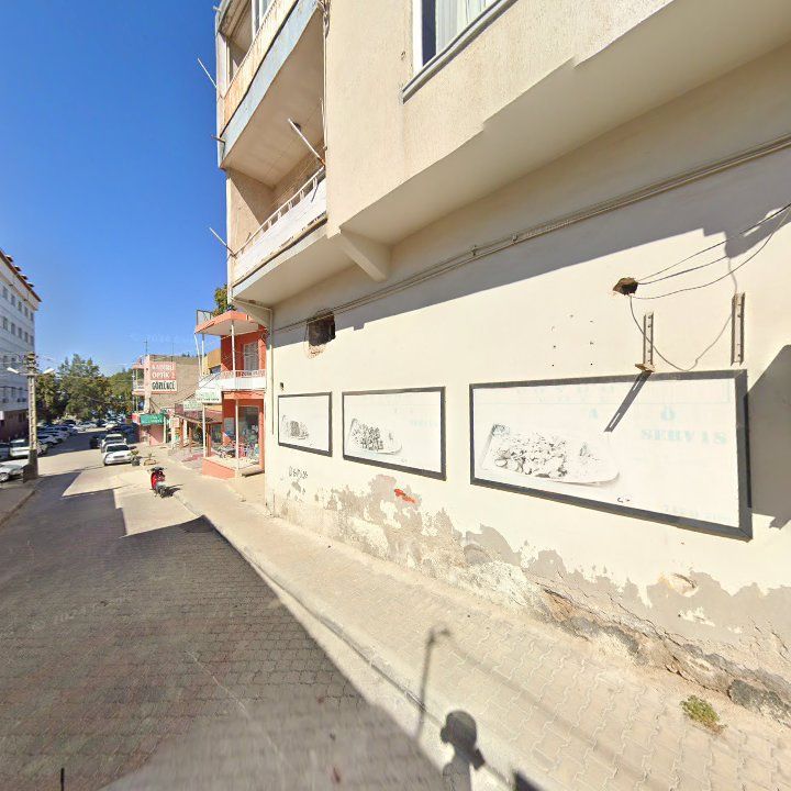 Fotoğraf 11