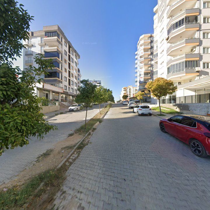 Fotoğraf 9