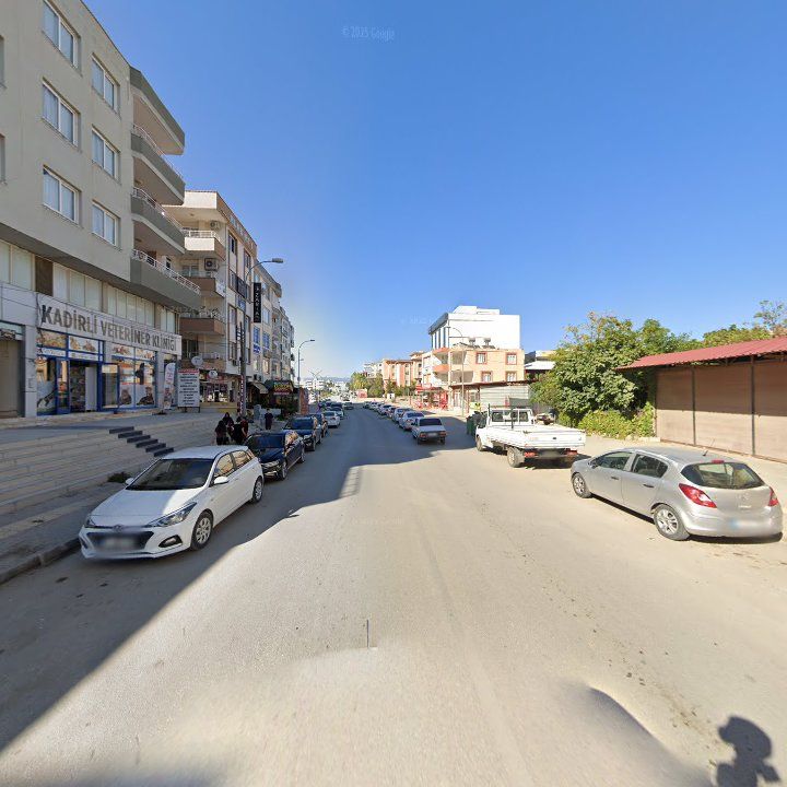 Fotoğraf 8