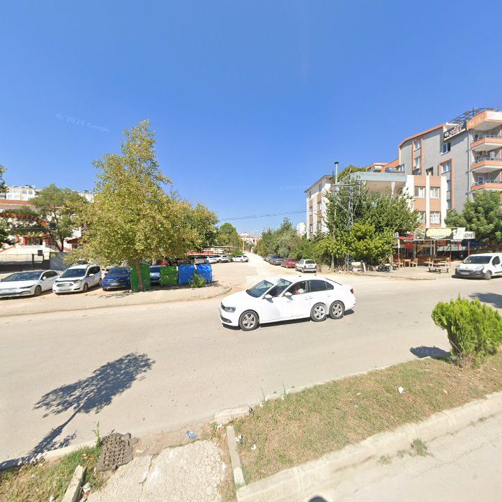 Fotoğraf 6