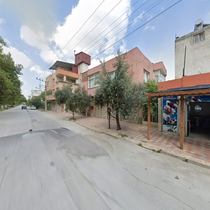 Fotoğraf 5